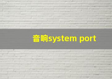 音响system port